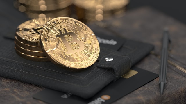 bitcoin coins on wallet